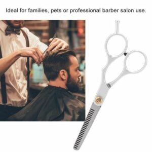 Set de 2 Ciseaux Professionnels pour Coiffeurs - Ciseaux de Coupe et Amincissants YAN