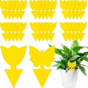 30 Pièges Collants Anti Moucherons et Pucerons - Attrape Mouches Intérieur et Extérieur Efficace