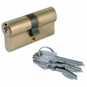 CYLINDRE EN LAITON POLI TE5 70MM (35X35) - Sécurité et Élégance pour Vos Portes