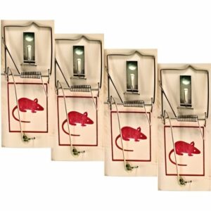 Lot de 8 tapettes à souris en bois et métal - pièges efficaces pour mulots et rongeurs