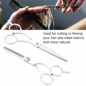 Ciseaux de coiffure professionnels en acier inoxydable - Longueur 15,5 cm - Idéal pour tous types de cheveux