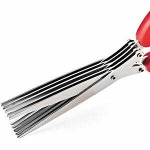 Ciseaux Hachoir Professionnels - Coupe Précise pour Cuisine et Restauration