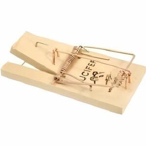 Lot de 2 Tapettes à Souris en Bois - LCN avec Ressort Puissant pour une Élimination Efficace