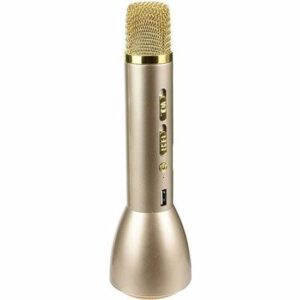 Micro Enceinte Karaoké Sans Fil BEMIX pour Enfants - Autonomie Batterie & Piles Incluses