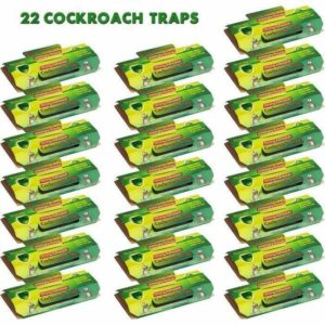 Piège à Cafards Professionnel - 22 Pièces Collantes Ultra-Puissantes pour Éliminer Blattes à l'Intérieur