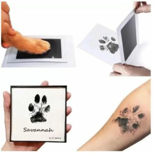 Tampons encreurs non toxiques et kits moulage pour empreintes de bébé et pattes de chien - Idéal pour baby shower !