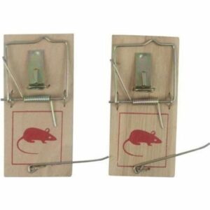 Lot de 2 Tapettes à Souris en Bois - Pièges Efficaces et Fiables pour un Contrôle Optimal des Rongeurs