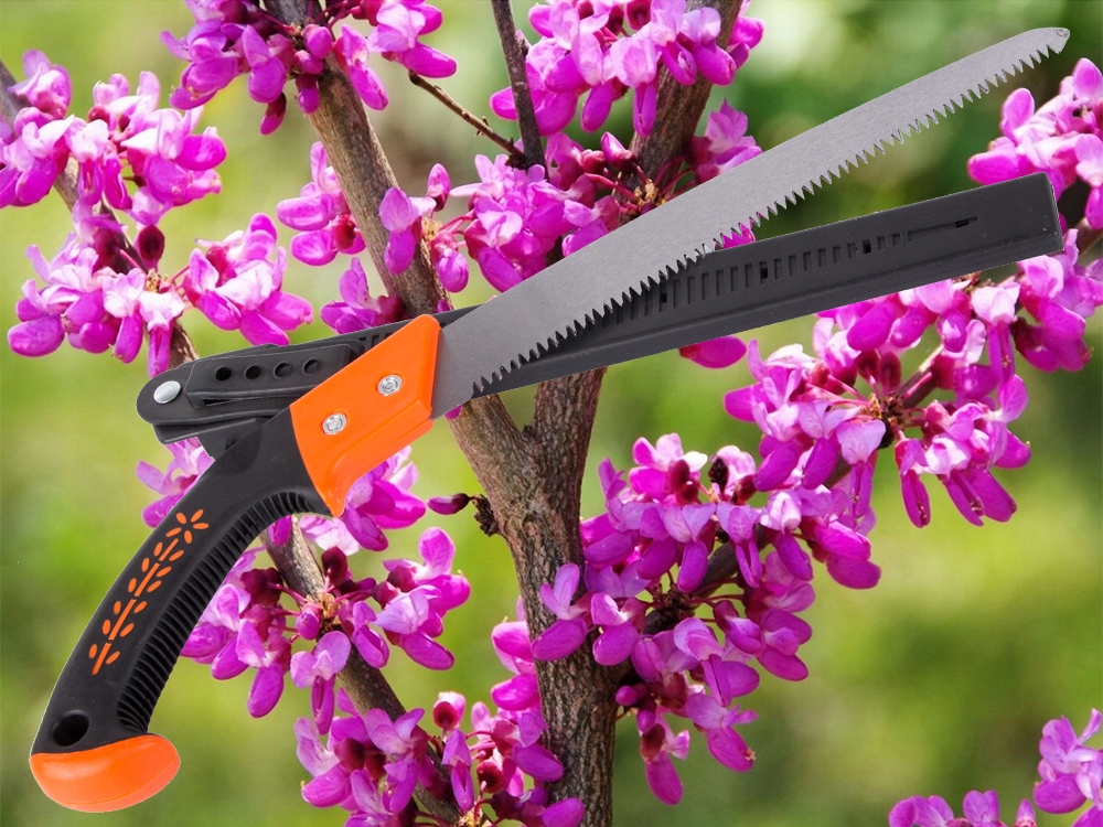 6abe777ca8e44636359cc8e92fe6b362