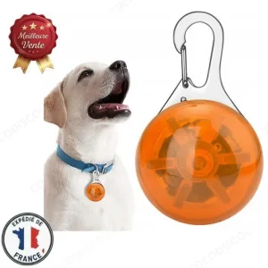 Collier LED pour Chien et Chat – Pendentif Lumineux Orange, 3 Modes d’Éclairage, Sécurité Nocturne et Visibilité Animaux