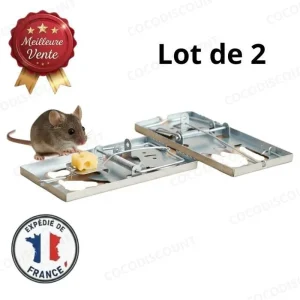 Lot 2 Pièges à Souris Métal 165x90 mm – Tapette Robuste et Puissante pour Éliminer Souris et Rongeurs